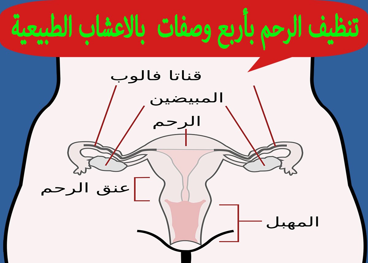 خلطة اعشاب للاجهاض , افضل الاعشاب للاجهاض